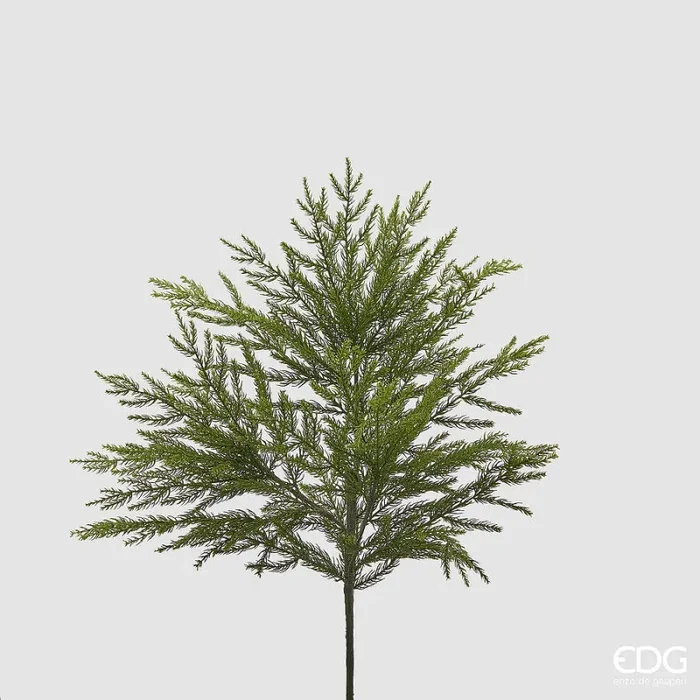 EDG Enzo De Gasperi Cryptomeria Cespuglia Natale L 66 Cm Verde Fornitura