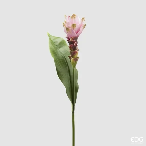 EDG Enzo De Gasperi Curcuma Chic H 63 Cm Colore Rosa