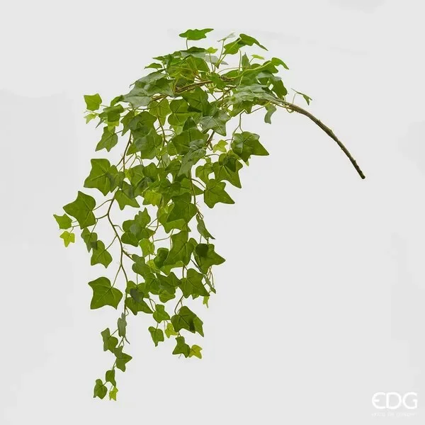 EDG Enzo De Gasperi Edera Chic Cad. H105 (176fg) C0 Light Green