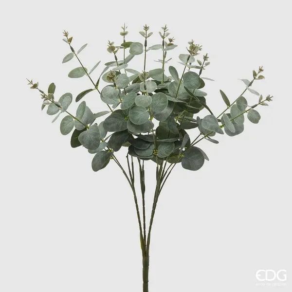 EDG Enzo De Gasperi Eucalipto Cespuglio H 50 Cm 16 Rami Colore Verde