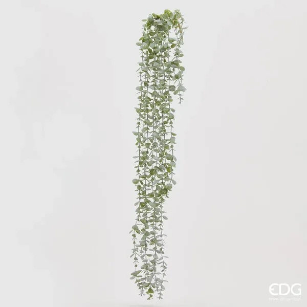 EDG Enzo De Gasperi Eucalipto Cespuglio L.105 C4 Sage