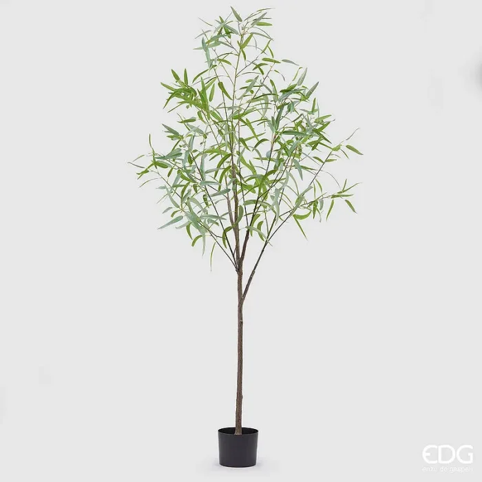 EDG Enzo De Gasperi Eucalipto con Vaso Artificiale H 200 Cm Light Green Vendita online