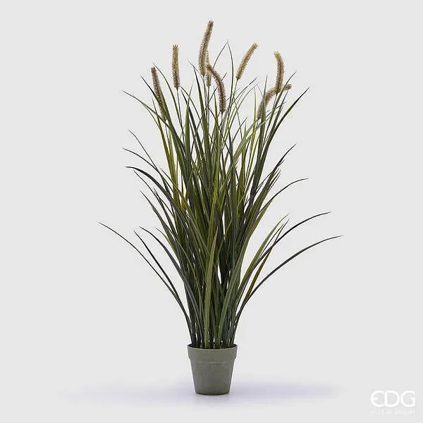 EDG Enzo De Gasperi Festuca con Vaso H 99 Cm 7 Spighe Colore Verde