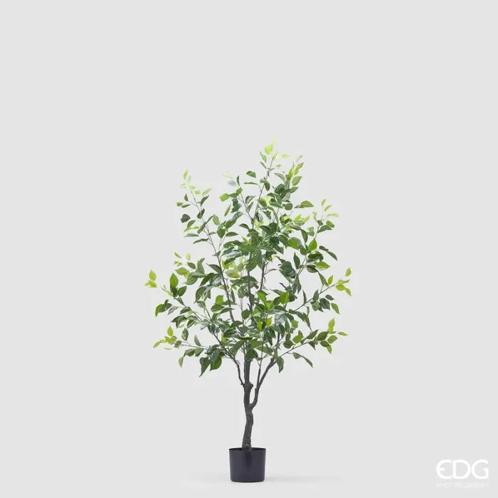 EDG Enzo De Gasperi Ficus Beniamino con Vaso Artificiale H 130 Cm Green Vendita calda