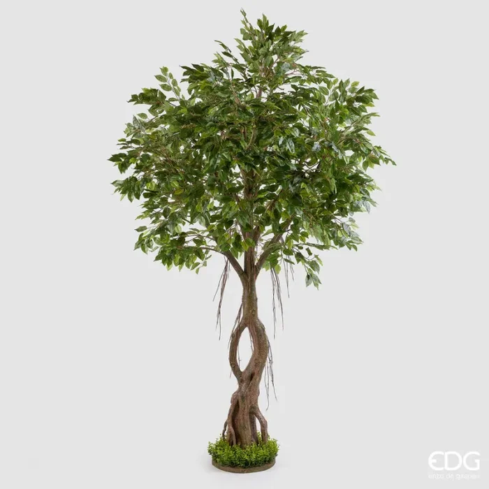 EDG Enzo De Gasperi Ficus Beniamino con Zolla Artificiale H 245 Cm Green