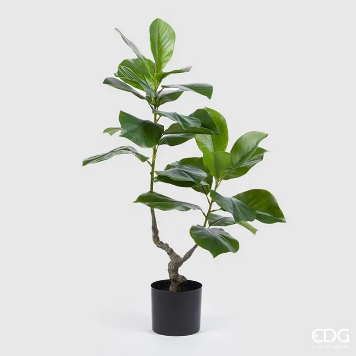 EDG Enzo De Gasperi Ficus Chic Pianta 2 Rami con Vaso Artificiale H 90 Cm Green
