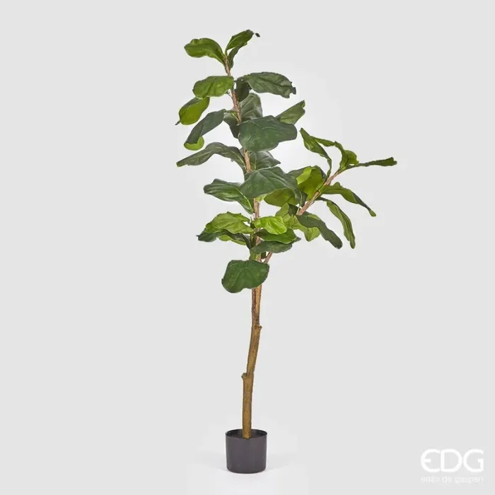 EDG Enzo De Gasperi Ficus Lyrata con Vaso Artificiale H 152 Cm Green Vendita online