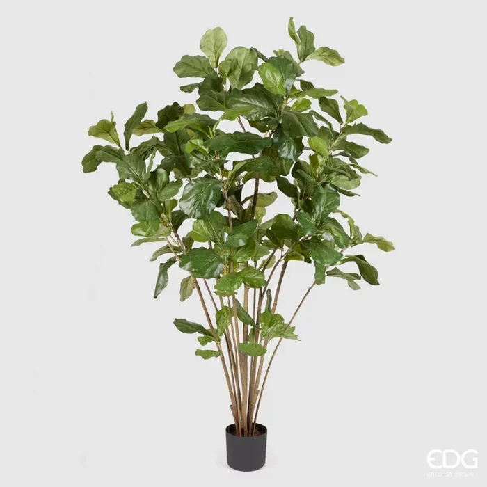 EDG Enzo De Gasperi Ficus Lyrata con Vaso Artificiale H 180 Cm Green