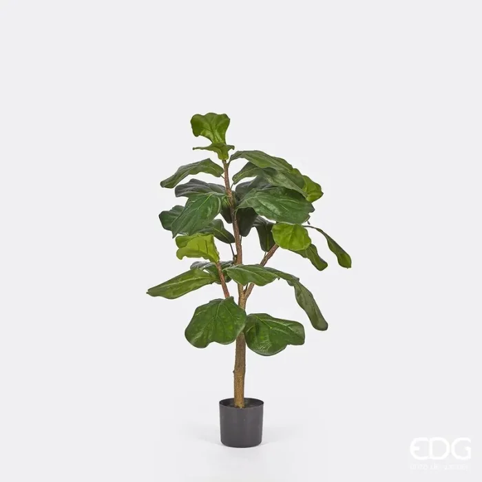 EDG Enzo De Gasperi Ficus Lyrata con Vaso Artificiale H 92 Cm Green