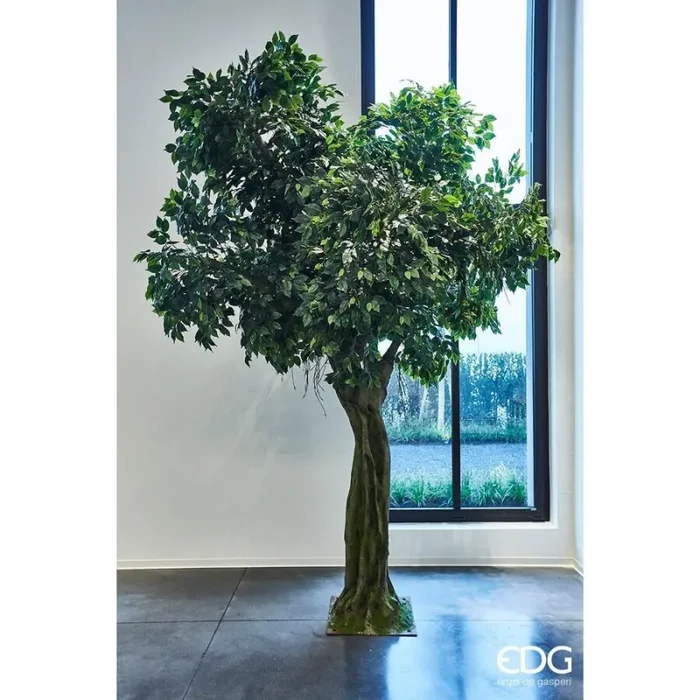 EDG Enzo De Gasperi Ficus Pianta Artificiale con Base H 340 Cm D 220 Cm Green