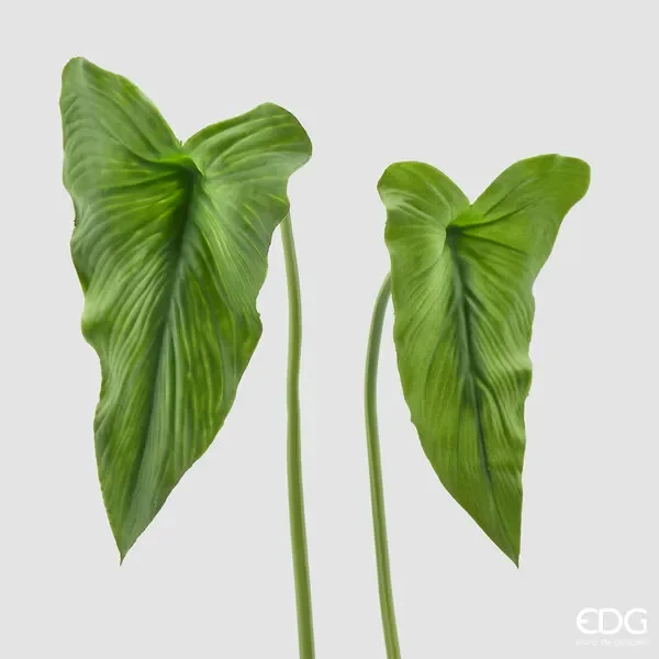 EDG Enzo De Gasperi Foglia Calla Chic H 72 Cm H 60 Cm Colore Verde 2 Pz Assortiti