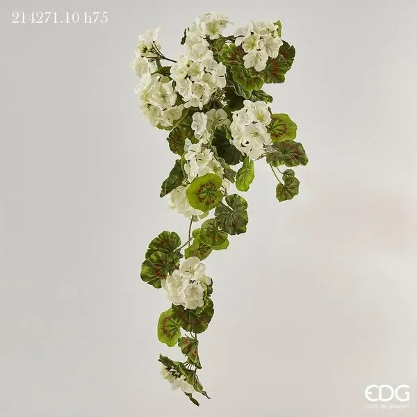 EDG Enzo De Gasperi Geranio Prix Cadente H75 B7 White