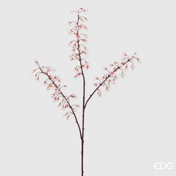 EDG Enzo De Gasperi Heuchera Rex 3 Rami H 112 Cm Bianco Rosa