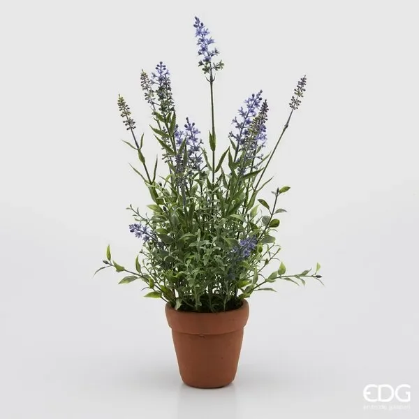 EDG Enzo De Gasperi Lavanda West C/Vasocotto H50 C2 Lavender