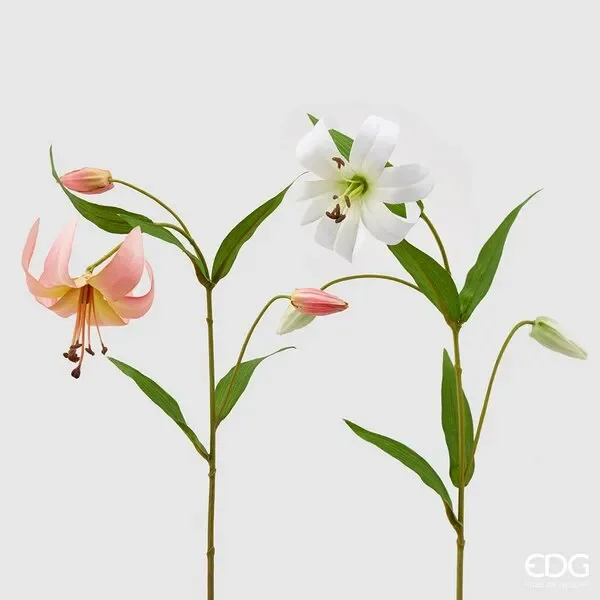 EDG Enzo De Gasperi Lilium Rex Ramo H 77 Cm Bianco Rosa 2Pz