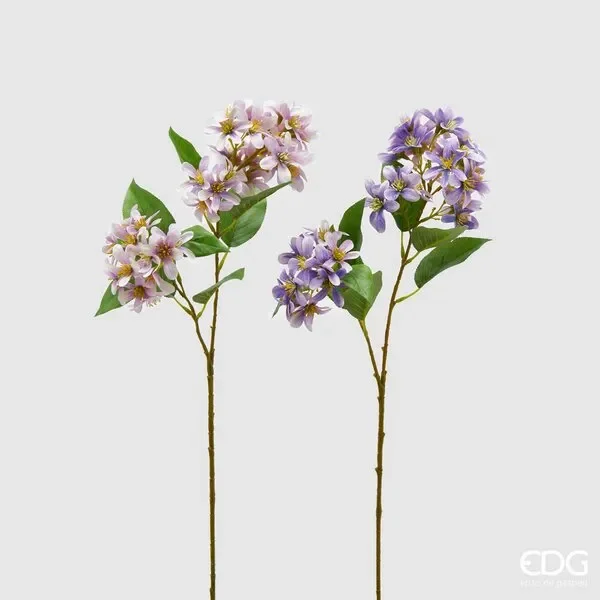 EDG Enzo De Gasperi Lilla Bell Ramo H 70 Violet 1 Pz