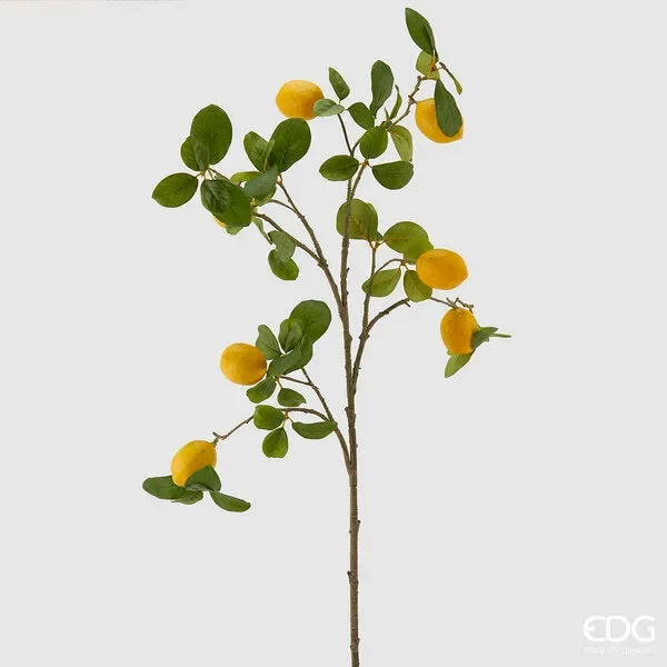 EDG Enzo De Gasperi Limone Rex Ramo C/7 Frutti H110 B9 Yellow Green