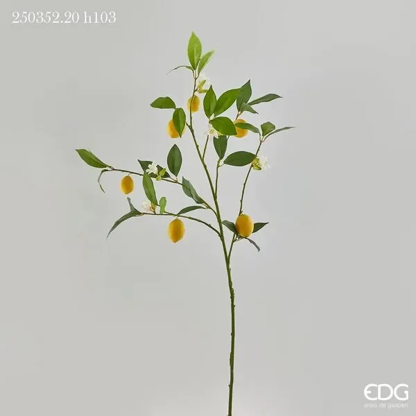 EDG Enzo De Gasperi Limone Rex Ramo H 103 Cm Colore Giallo e Verde