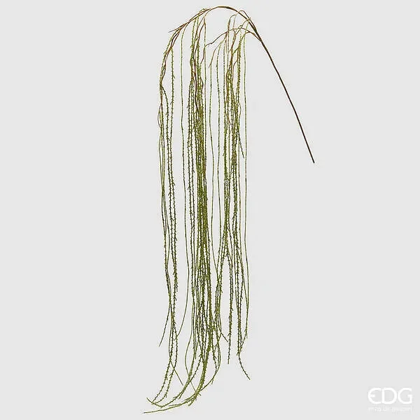 EDG Enzo De Gasperi Lycopodium Ramo L 186 Cm Colore Verde