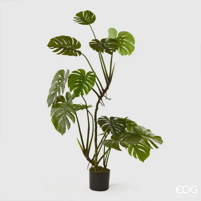 EDG Enzo De Gasperi Monstera Pianta con Vaso Artificiale H 155 Cm Green