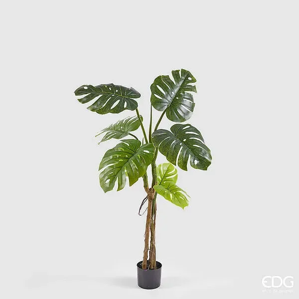 EDG Enzo De Gasperi Monstera Slim Con Vaso Artificiale H 130 Cm Green
