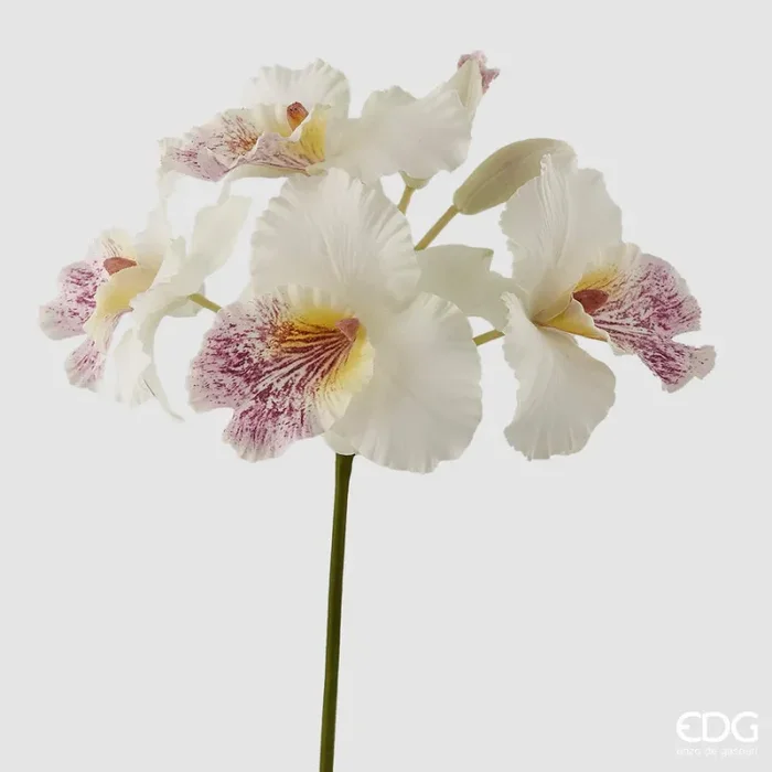 EDG Enzo De Gasperi Orchidea Cattleya Duke Ramo x4 e 2 Boccioli Artificiale H 43 Cm White Violet Vendita calda