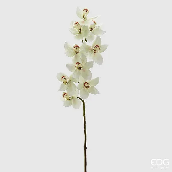 EDG Enzo De Gasperi Orchidea Cymbidium H 90 Cm Bianco Verde Vendita online