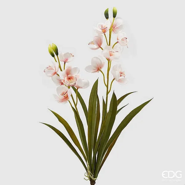 EDG Enzo De Gasperi Orchidea Cymbidium Real H 59 Cm Bianco Rosa