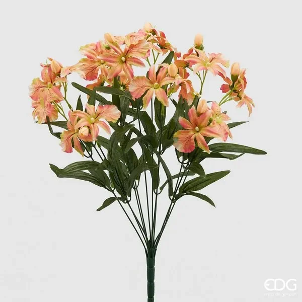 EDG Enzo De Gasperi Orchidea Elis Cespuglio 12 Rami H 55 Cm Salmone