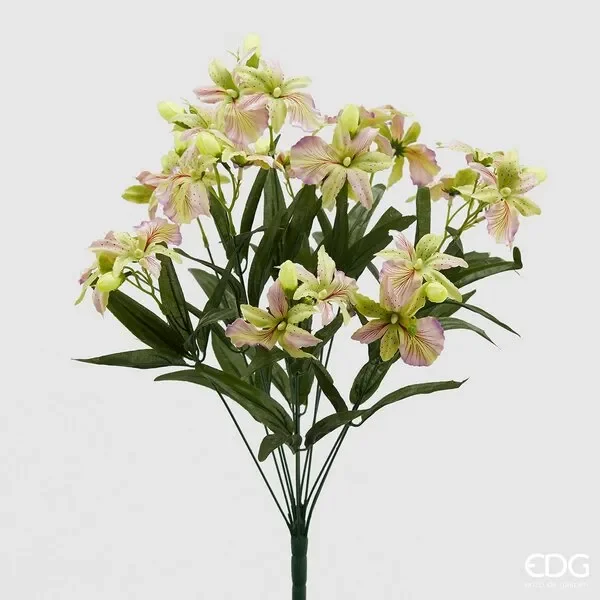 EDG Enzo De Gasperi Orchidea Elis Cespuglio 12 Rami H 55 Cm Violet