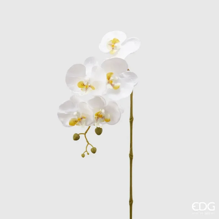 EDG Enzo De Gasperi Orchidea Phalaenopsis Olis Ramo 3D x5 Artificiale H 70 Cm White