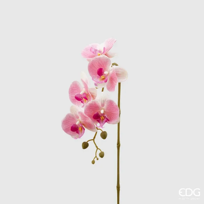 EDG Enzo De Gasperi Orchidea Phalaenopsis Olis Ramo 3D x5 Artificiale H 70 Cm White Pink