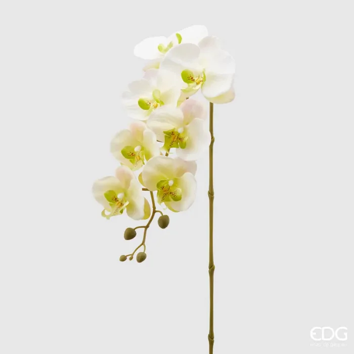 EDG Enzo De Gasperi Orchidea Phalaenopsis Olis Ramo 3D x7 Artificiale H 85 Cm White Yellow