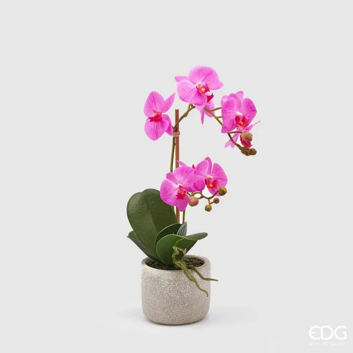 EDG Enzo De Gasperi Orchidea Phalaenopsis Pianta x2 Artificiale con Vaso H 42 Cm Beauty