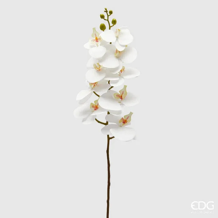 EDG Enzo De Gasperi Orchidea Phalaenopsis Ramo Artificiale H 94 Cm White