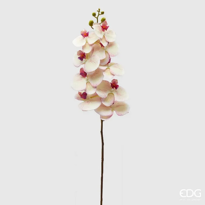 EDG Enzo De Gasperi Orchidea Phalaenopsis Ramo Artificiale H 94 Cm White Violet