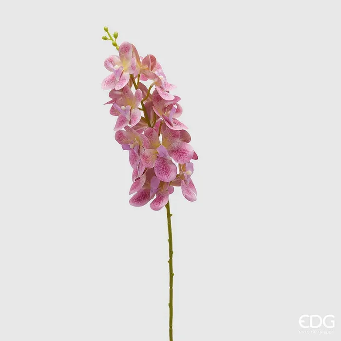 EDG Enzo De Gasperi Orchidea Vanda Ramo Artificiale H 70 Cm Fuchsia
