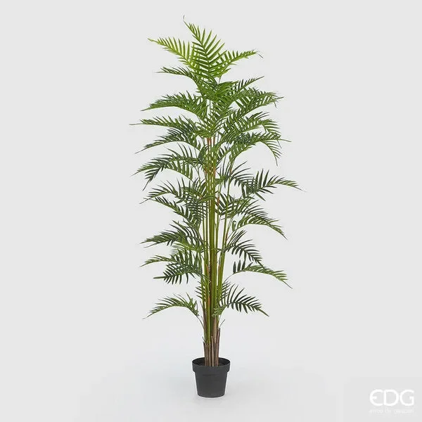 EDG Enzo De Gasperi Palma Areca C/Vaso Pvc H180 (45fg) B7 Green