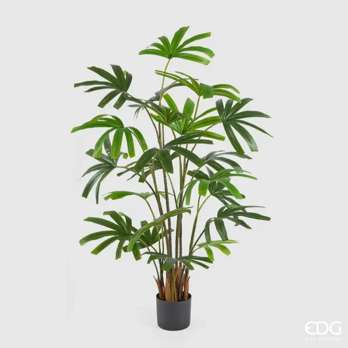 EDG Enzo De Gasperi Palma Rapisgracilis con Vaso Artificiale H 145 Cm Green