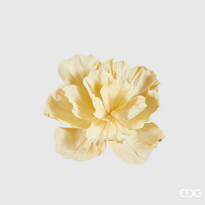 EDG Enzo De Gasperi Peonia Jumbo da Appendere H 60 Cm D 80 Cm Light Yellow
