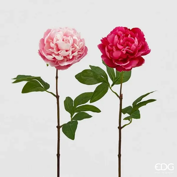 EDG Enzo De Gasperi Peonia Olis Ramo H 65 Cm Fucsia o Rosa 1Pz Online ora