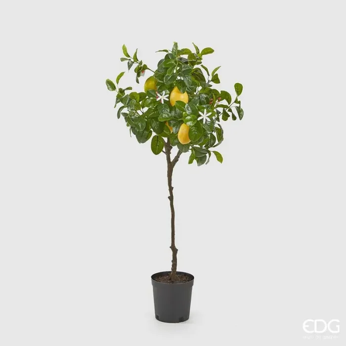 EDG Enzo De Gasperi Pianta Artificiale di Limoni Duke con Vaso Pvc H 102 Cm Giallo Verde