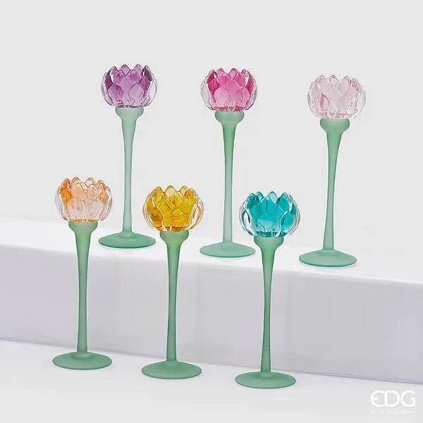 EDG Enzo De Gasperi Portacandela Ninfea 6 Ass. H.25 D.8 C4 Multicolor In saldo