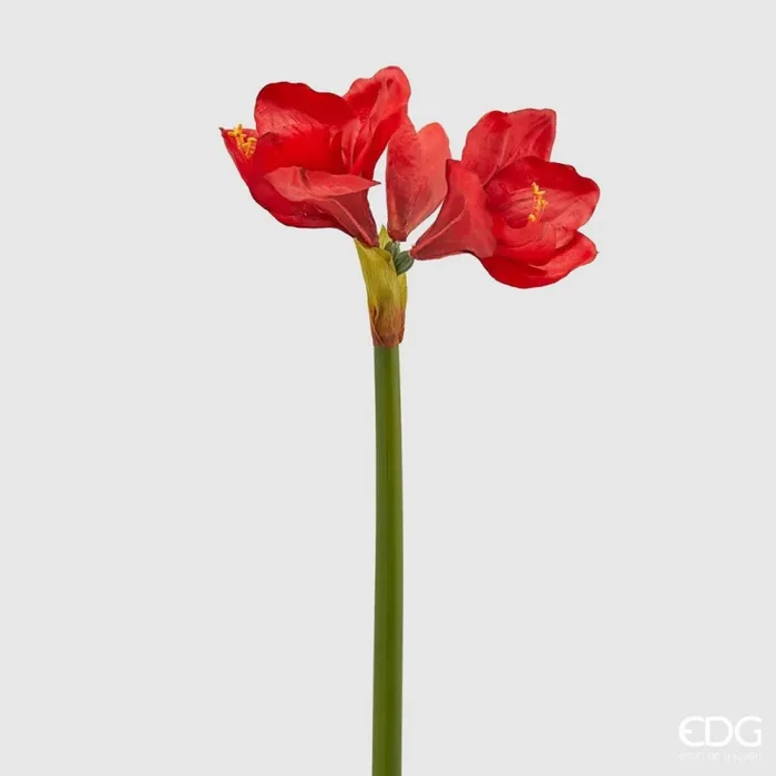 EDG Enzo De Gasperi Ramo Amaryllis Real Artificiale 3 Fiori H 66 Cm Red