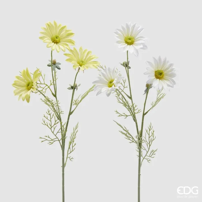 EDG Enzo De Gasperi Ramo Margherita a 3 Fiori con Foglie H 65 Cm Bianco o Giallo 1 Pz