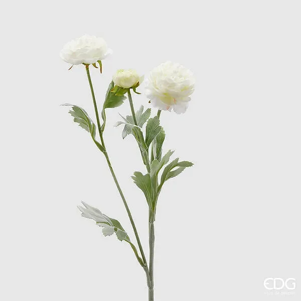 EDG Enzo De Gasperi Ranuncolo con Foglie H 50 Cm 3 Rami Bianco 1 PZ
