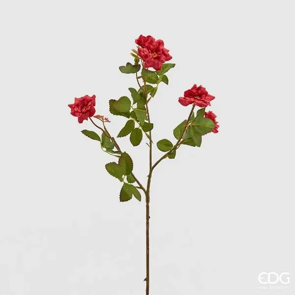 EDG Enzo De Gasperi Rosa Mini Rex Ramo X5 H66 B8 Red