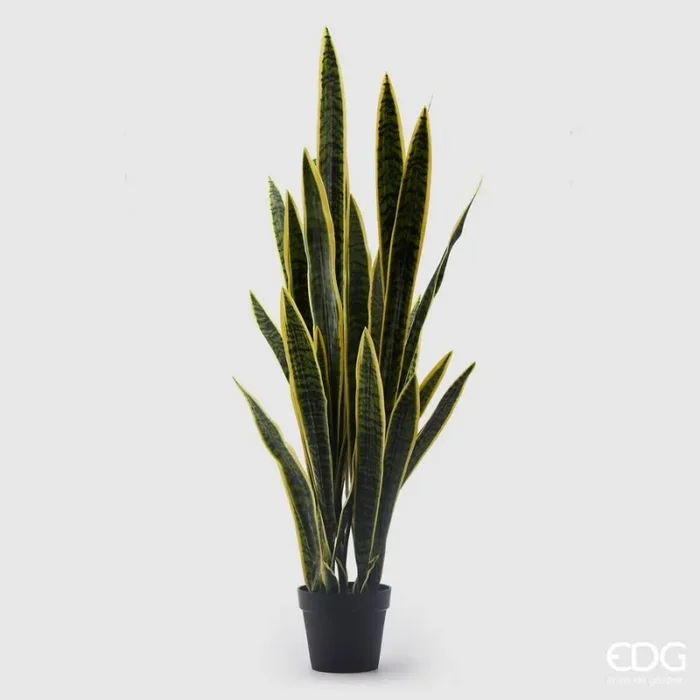 EDG Enzo De Gasperi Sanseveria West con Vaso Artificiale H 140 Cm Yellow Green Vendita calda