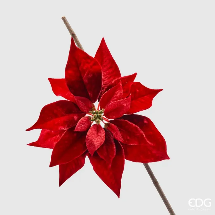 EDG Enzo De Gasperi Stella Natale Testa con Clip D 23 Cm Red 1 Pz