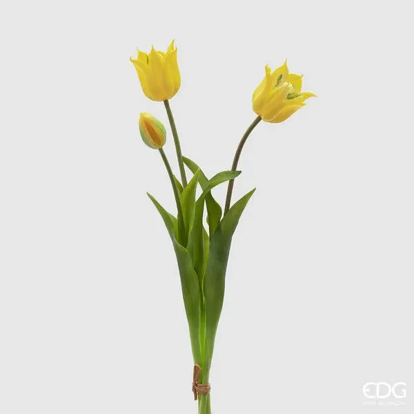 EDG Enzo De Gasperi Tulipano Gommato Olis 3 Rami H 48 Cm Giallo 1 Cf Vendita calda
